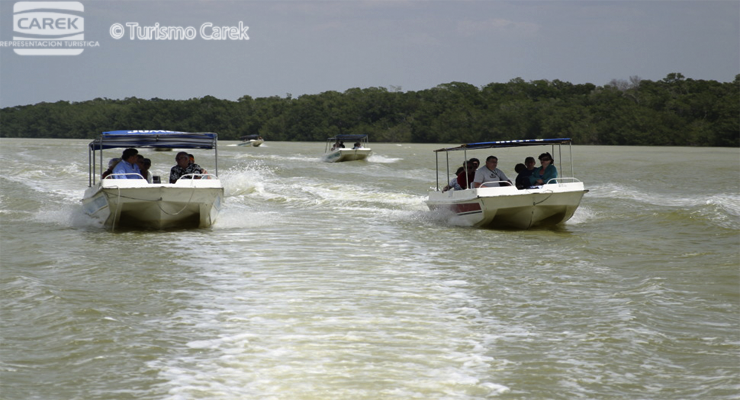 tour a celestun desde merida