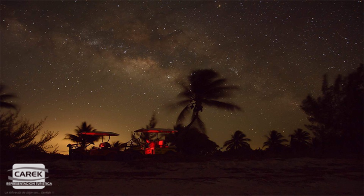 bioluminiscencia holbox tour y excursiones