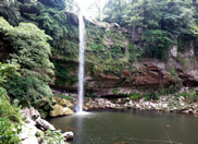 Impresionante caída de cascada misol-ha