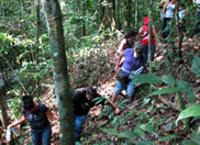 El mejor tour de naturaleza camida selva lacandona chiapas